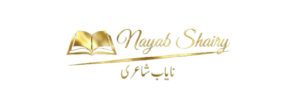 nayab collection