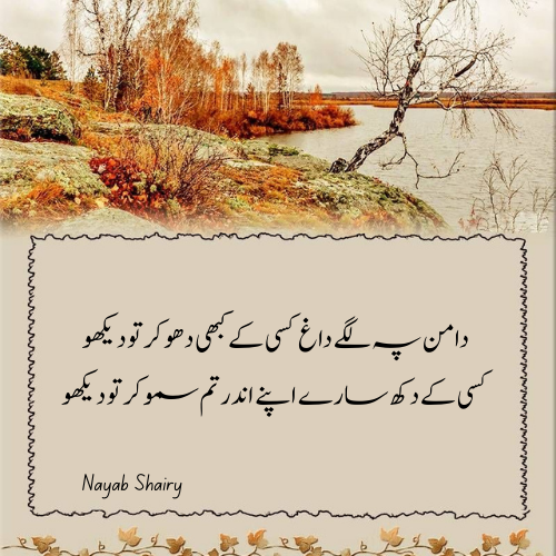 دامن پہ لگے داغ کسی کے کبھی دھو کر تو -دیکھوUrdu Ghazal