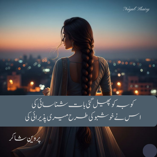 nayab urdu shairy 9