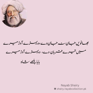 baba-bulleh-shah-sufi-poetry=image-nayab-shairy