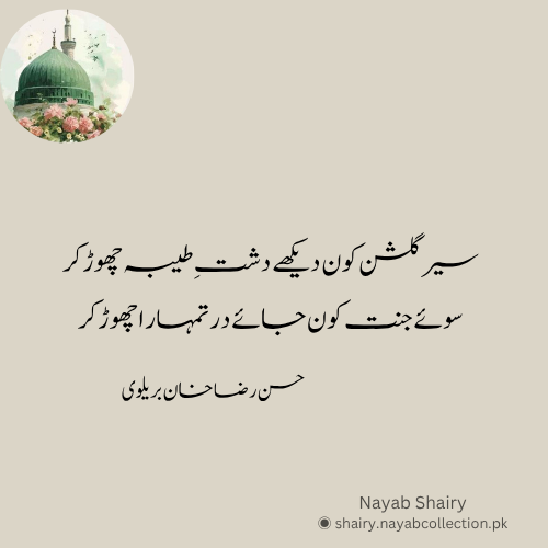 image-naatiya-ashaar-hassan-raza-khan-nayab-shairy