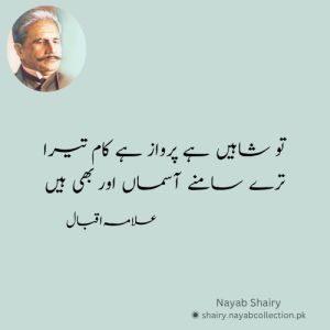 tu-shaheen-hai-allama-iqbal-sher-nayab-shairy