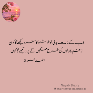 ahmed-faraz-image-shairy-nayab-shairy