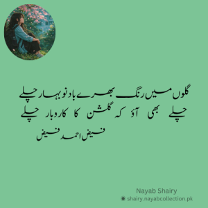 gulon-mein-rang-image-shairy-faiz-ahmed-faiz-nayab-shairy
