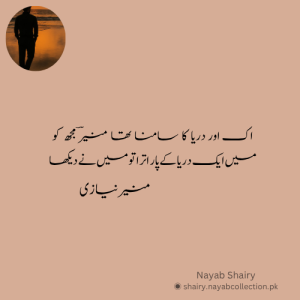 image-poetry-munir-niazi-nayab-collection