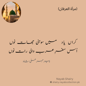 image-poetry-peer-mehar-ali-shah-nayab-shairy