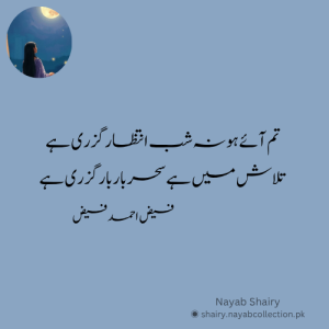 image-shairy-faiz-ahmed-faiz-nayab-shairy