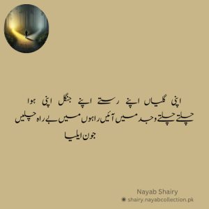 jaun-elia-image-shairy-nayab-shairy