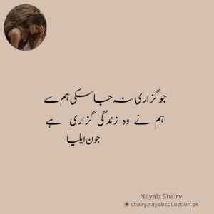 jaun-elia-image-shairy-nayab-shairy