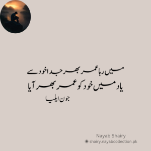 jaun-elia-image-shairy-nayab-shairy