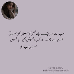 munir-niazi-image-shairy-nayab-shairy