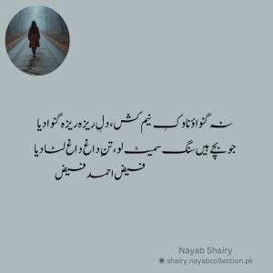 na-ganwao-image-shairy-faiz-ahmed-faiz-nayab-shairy