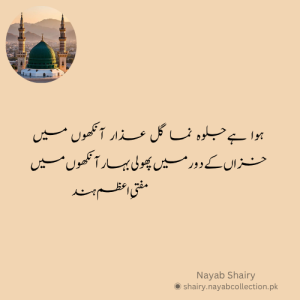 image-shairy-hazoor-mufti-e-hind-nayab-shairy