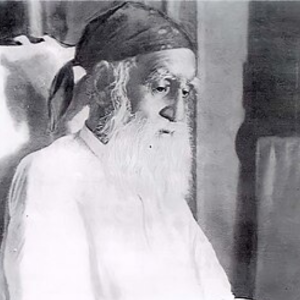 peer-mehar-ali-shah-biography-nayab-shairy