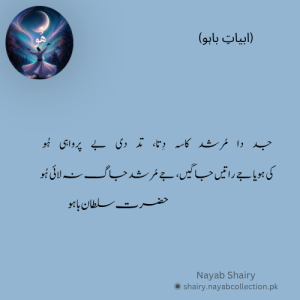 nayab urdu shairy 68
